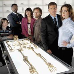 Bones